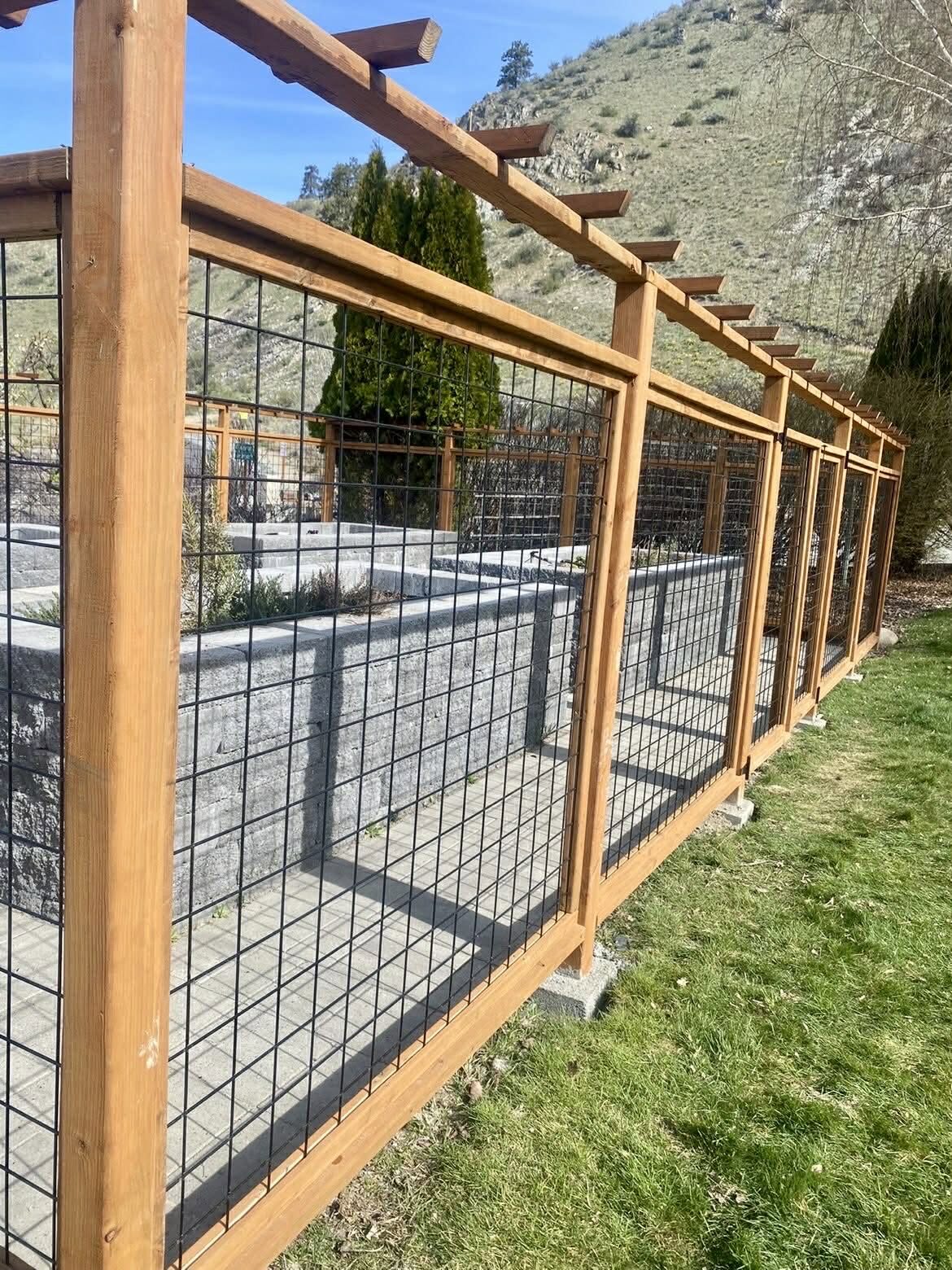 Deer proof garden enclosure with hog wire panels and a cedar pergola top in Chelan